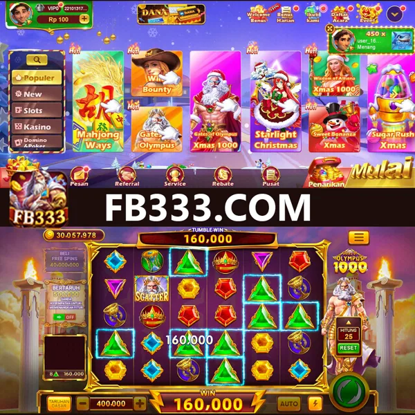 fb333